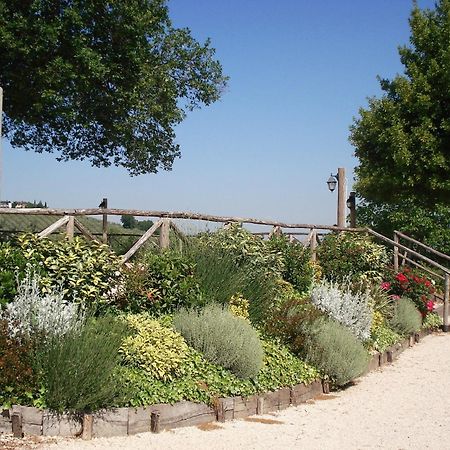 Tenuta Colverano มอนเตฟัลโก ภายนอก รูปภาพ