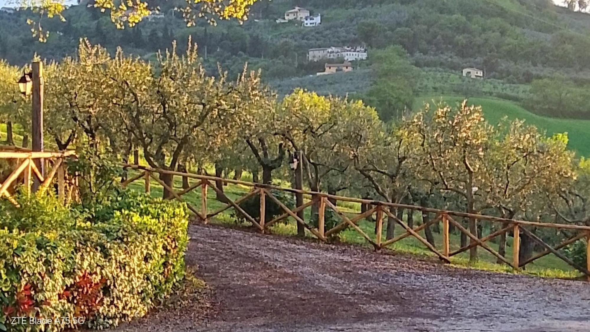 Tenuta Colverano มอนเตฟัลโก ภายนอก รูปภาพ