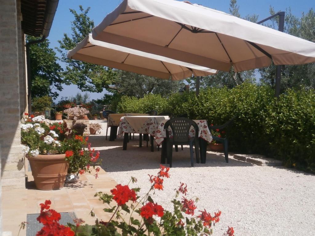Tenuta Colverano มอนเตฟัลโก ภายนอก รูปภาพ