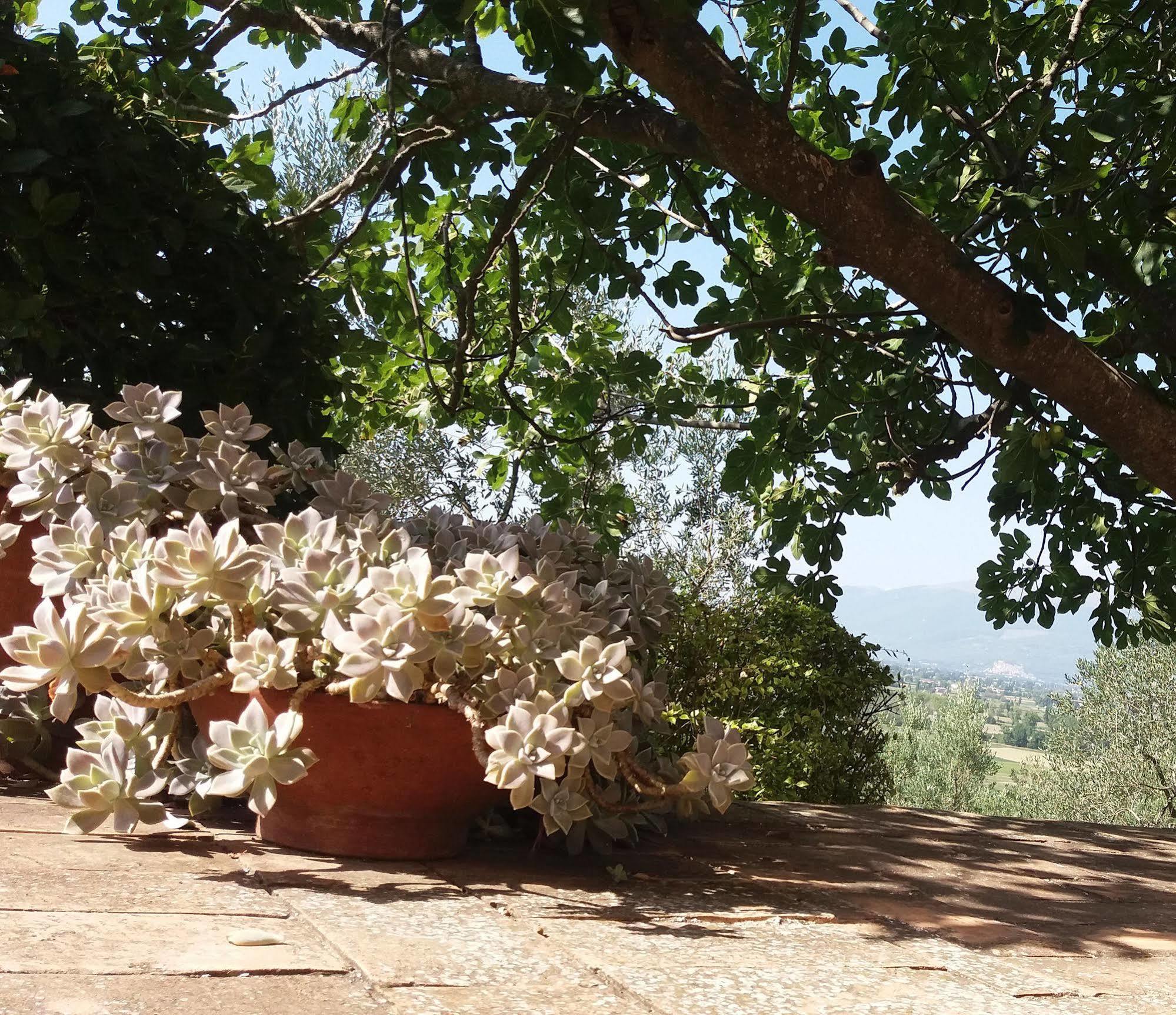 Tenuta Colverano มอนเตฟัลโก ภายนอก รูปภาพ