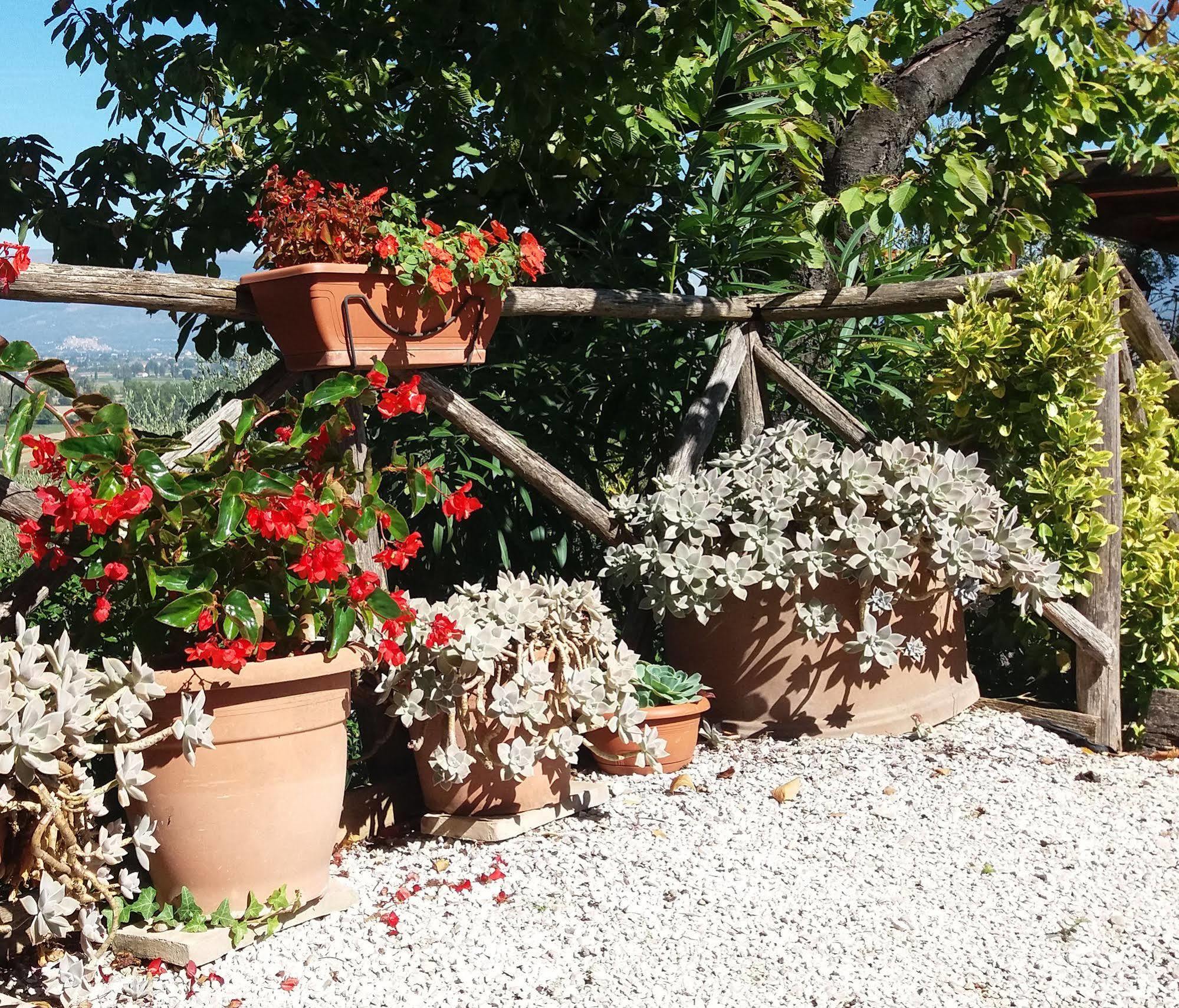 Tenuta Colverano มอนเตฟัลโก ภายนอก รูปภาพ