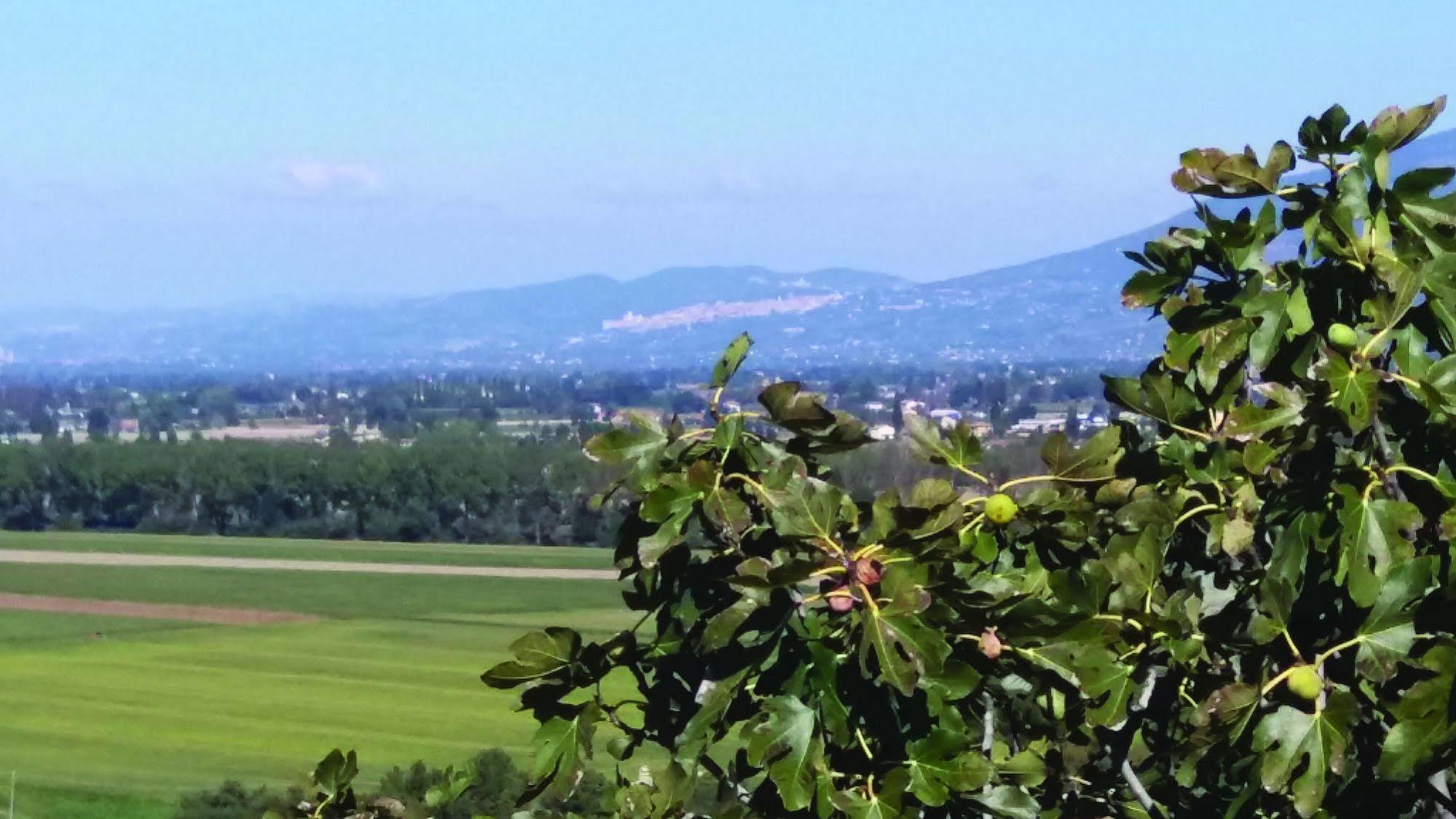 Tenuta Colverano มอนเตฟัลโก ภายนอก รูปภาพ