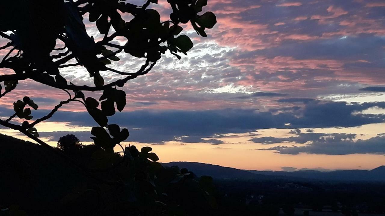 Tenuta Colverano มอนเตฟัลโก ภายนอก รูปภาพ