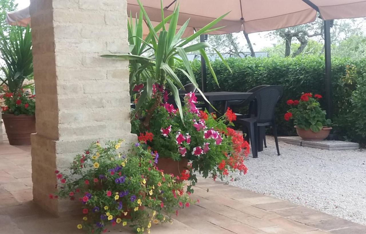 Tenuta Colverano มอนเตฟัลโก ภายนอก รูปภาพ